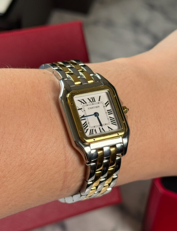 CARTIER SANTOS PANTHERE BICOLOR SUIZO