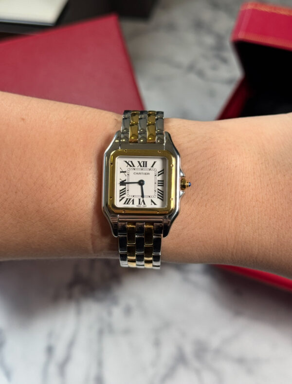 CARTIER SANTOS PANTHERE BICOLOR SUIZO